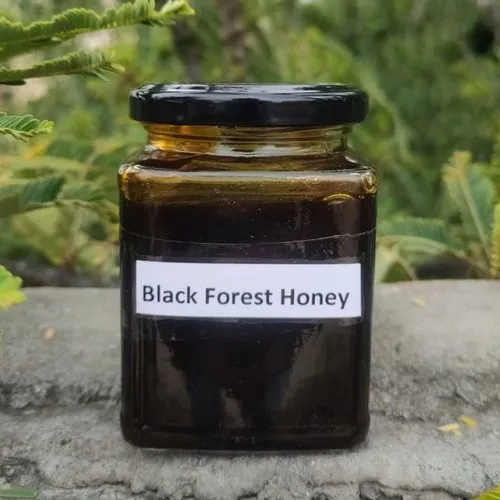 Lab Certified Raw and Natural Kashmir Black Forest Honey - 500 grams